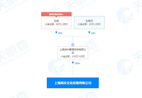 潤米咨詢戰略布局新篇章 設立文化傳媒公司，注冊資本100萬，深化社會經濟咨詢服務生態